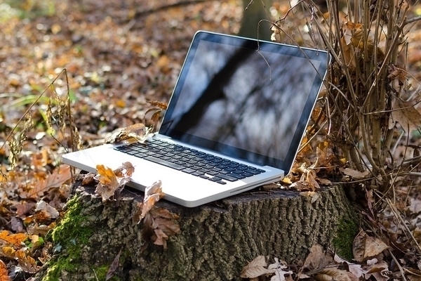 computer on stump